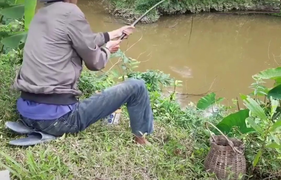 Clip: Kéo gãy cả cần câu, được con cá bằng ngón tay