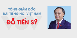 Infographic: Sự nghiệp Tổng Giám đốc Đài Tiếng nói Việt Nam Đỗ Tiến Sỹ