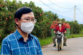 Chủ tịch Bắc Giang: Từng nghĩ đến kịch bản xấu nhất cho đầu ra của quả vải