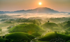 Ốc đảo chè ẩn hiện giữa biển mây: Cảnh sắc ‘cực phẩm’ chỉ có ở đất Tổ Phú Thọ