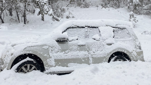 Video: Australia trải qua ngày lạnh nhất sau 37 năm