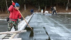 Video: Nghề làm băng truyền thống của người Nhật