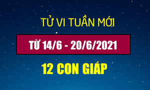 12 con giáp tuần mới 14/6-20/6: Người tuổi Thìn kiếm bộn tiền