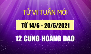 12 cung hoàng đạo tuần mới 14/6-20/6: Nhân Mã có thể trúng 'tiếng sét ái tình'