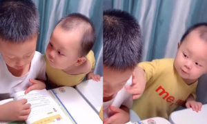 Clip: Em bé trêu anh trai đang học bài