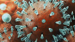 Biến chủng Delta của virus corona ở TP.HCM nguy hiểm thế nào?