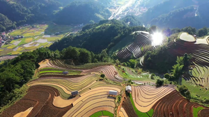 Video: Tuyệt tác Mù Cang Chải mùa nước đổ nhìn từ trên cao