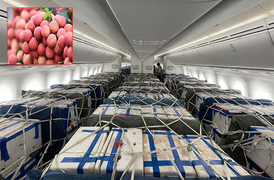 Vietnam Airlines dùng siêu máy bay chuyên chở vải thiều Bắc Giang