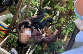 Trượt chân rơi từ tầng 4 xuống vườn rau, nam thanh niên chết thảm