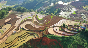 Ảnh: Ruộng bậc thang Mù Cang Chải đẹp lạ lùng mùa nước đổ