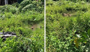 Hòa Bình: Phát hiện thi thể nam thanh niên ở ven Quốc lộ 21A