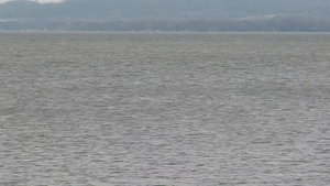 Đang thử nghiệm thiết bị dò sóng âm, kỹ sư phát hiện bí ẩn chết chóc ở hồ nước