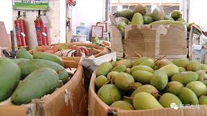 Đại học Trung Quốc bắt sinh viên bán hết 20 thùng xoài mới cho tốt nghiệp