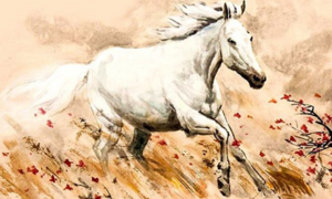 Dự đoán 12 con giáp 18/6: Mão được tỏ tình, Ngọ túng thiếu