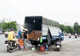 Đà Nẵng thông báo tìm người mua trái cây của bệnh nhân COVID-19 ở Nghệ An