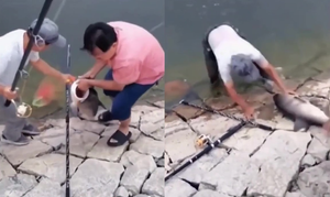 Clip: Quá đau lòng khi để trượt con cá cực to 
