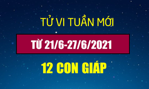 12 con giáp tuần từ 21/6-27/6: Tý kiếm bộn tiền, Mùi vất vả
