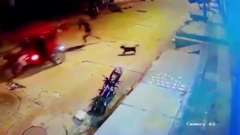 Bị chó đuổi, tên trộm bỏ xe chạy thục mạng