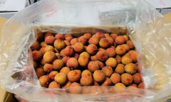 Vải thiều Lục Ngạn giá nửa triệu đồng/kg tại Australia