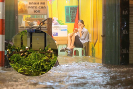 Đường Hà Nội ngập, cây đổ ngổn ngang sau cơn mưa lớn giữa đêm