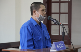 Cưa 24 gốc hoa giấy trên tuyến đường đẹp nhất TP Vũng Tàu, lĩnh 7 năm tù