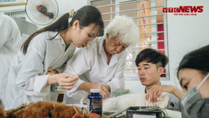 Video: Cụ bà 88 tuổi châm cứu, chữa bại liệt miễn phí cho thú cưng ở Hà Nội