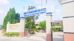 Công ty Phước Hoà FiCO và Công ty CP Vật liệu xây dựng DIC bị xử phạt