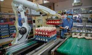 Doanh nghiệp TP.HCM kích hoạt chế độ 'thời chiến'