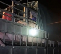 Gần 20 người trốn trong xe tải chở lợn 'né' chốt soát dịch COVID-19