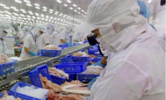 6 tháng, Việt Nam nhập siêu 1,96 tỷ USD 