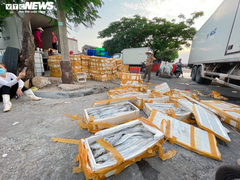 Tiểu thương bật khóc vì đặc sản rớt giá, làm thức ăn chăn nuôi