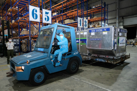 Nhật Bản viện trợ Việt Nam thêm 1 triệu liều vaccine COVID-19