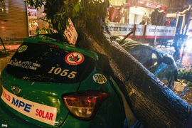 Hà Nội: Cây đổ đè bẹp xe taxi trong mưa lớn