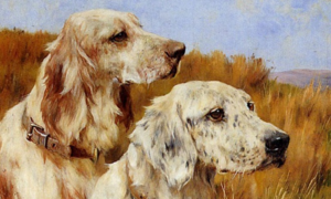 Dự đoán 12 con giáp 27/6: Sửu dễ mất tiền oan, Tuất đề phòng trộm cắp