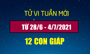 12 con giáp tuần từ 28/6-4/7: Sửu may mắn, Mùi thất tình