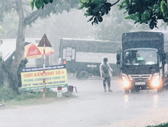 Bắc Giang: Khởi tố vụ án làm lây lan dịch COVID-19 tại vùng vải thiều Lục Ngạn