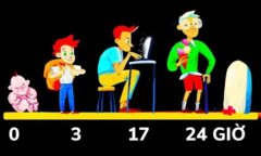 Video: Sẽ ra sao nếu đời người chỉ diễn ra trong 24 giờ?