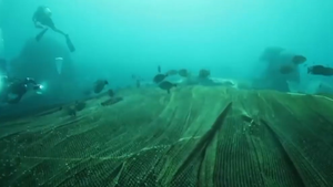 Video: 40 thợ lặn Thái Lan giải cứu rạn san hô khỏi lưới đánh cá