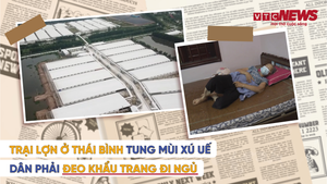 Video: Trại lợn ở Thái Bình tung mùi xú uế, dân phải đeo khẩu trang đi ngủ