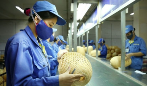 Lao động, doanh nghiệp bị ảnh hưởng bởi COVID-19 sẽ được hỗ trợ từ tháng 7