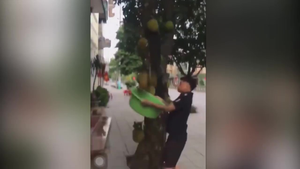 Chết cười xem hậu quả của việc dùng chậu hứng mít