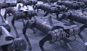 Binh đoàn robot 'hít đất' đều tăm tắp