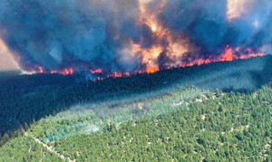 176 đám cháy rừng bùng phát dữ dội ở bờ Tây Canada