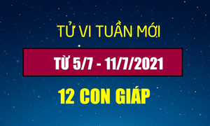 12 con giáp tuần từ 5/7-11/7: Tý tài vận hanh thông, Dậu gặp thị phi