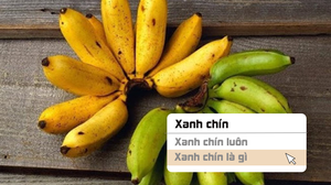 Tra từ: ‘Xanh chín’ là gì mà được dân mạng khen hay ho?