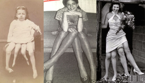 Cô gái 4 chân nổi tiếng như minh tinh, từng là niềm mơ ước của bao chàng trai