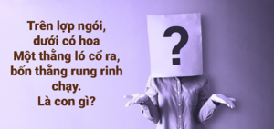 4 câu đố mẹo hóc búa đảm bảo khiến hội bạn 'xoắn não' chịu thua