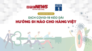 Video: Trực tiếp Tọa đàm 'Dịch COVID-19 kéo dài - Hướng đi nào cho hàng Việt'