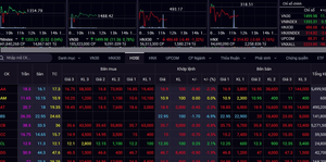 Hệ thống nhiều công ty chứng khoán bị lỗi, chỉ số VN-Index giằng co 
