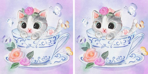 Thử thách 30 giây: Bạn có tìm ra 3 điểm khác biệt giữa 2 ảnh?